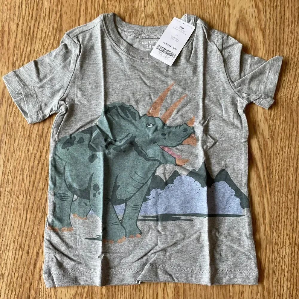 Carters Dinosaur Triceratops Tee Grayā24āMonths